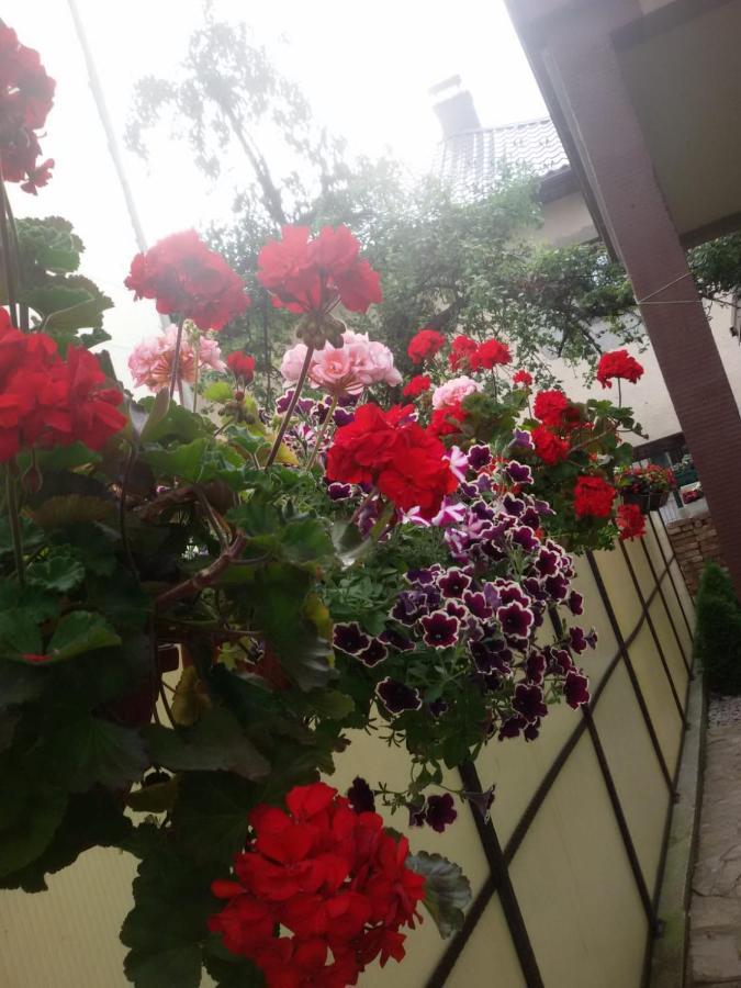 Villa Kasinda SJJ Esterno foto